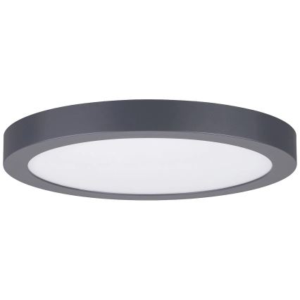 Paulmann 70988 - LED/22W Ceiling light ABIA 230V anthracite