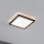 Paulmann 71000 - LED/11,2W Surface-mounted panel ATRIA 230V 3000K 19x19 cm black