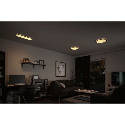 Paulmann 71003 - LED/22W Dimmable panel ATRIA 230V 3000K 20x58 cm black