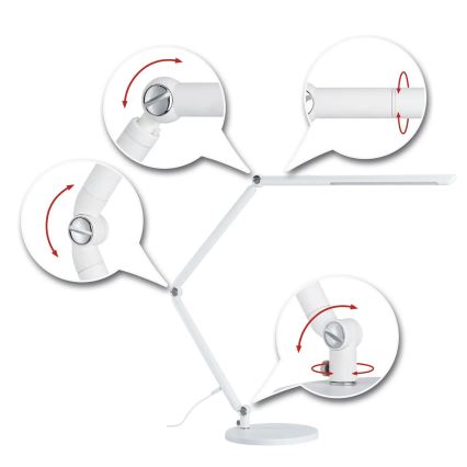 Paulmann 78911 - LED/10,6W Dimmable table lamp FLEXBAR 230V 3000/4000/6500K