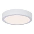 Paulmann 78923 - LED/13W IP44 Dimmable bathroom ceiling light AVIAR 230V