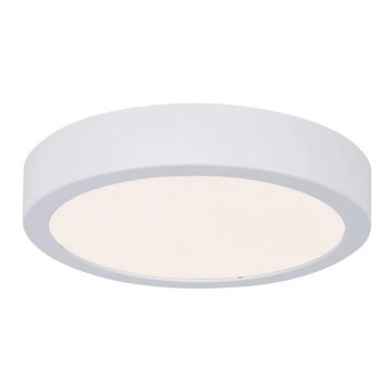Paulmann 78923 - LED/13W IP44 Dimmable bathroom ceiling light AVIAR 230V