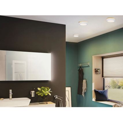 Paulmann 78923 - LED/13W IP44 Dimmable bathroom ceiling light AVIAR 230V