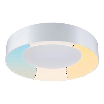 Paulmann 78947 - LED/23W IP44 Bathroom ceiling light CASCA 230V