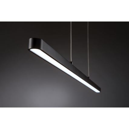 Paulmann 79694 - LED/40W Dimmable chandelier on a string LENTO 230V 2700-6000K