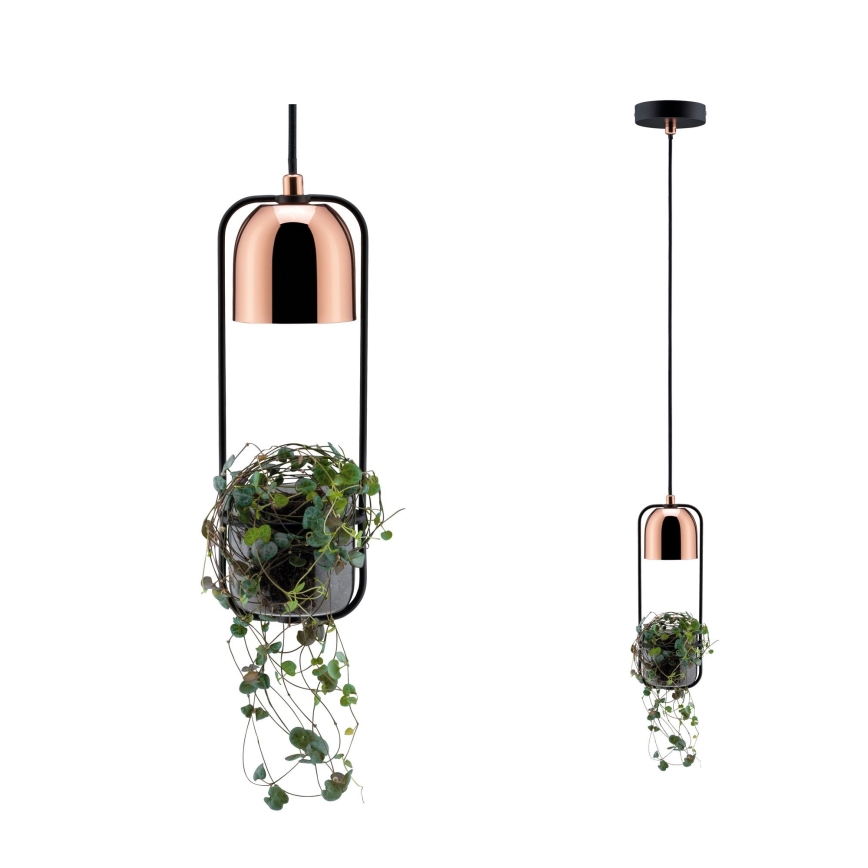 Paulmann 79749 - 1xGU10/20W Chandelier on a string FANJA 230V