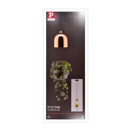 Paulmann 79749 - 1xGU10/20W Chandelier on a string FANJA 230V