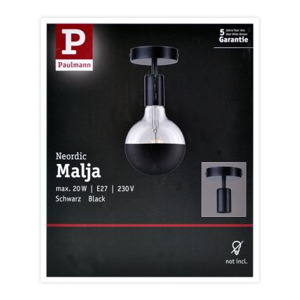 Paulmann 79760 - Ceiling light HALDOR 1xE27/20W/230V