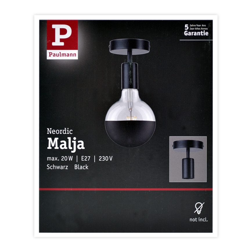 Paulmann 79760 - Ceiling light HALDOR 1xE27/20W/230V