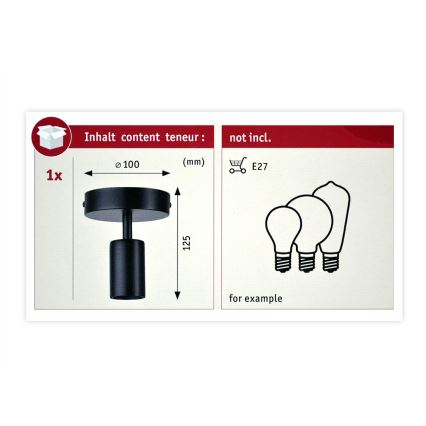Paulmann 79760 - Ceiling light HALDOR 1xE27/20W/230V