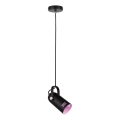 Paulmann 79766 - 1xE27/15W Cable-hung pendant light LAVEA 230V Black