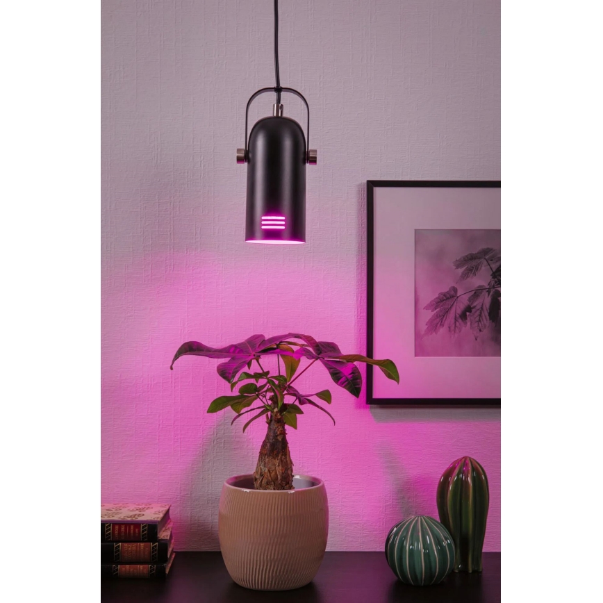 Paulmann 79766 - 1xE27/15W Cable-hung pendant light LAVEA 230V Black