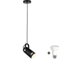 Paulmann 79766 - LAVEA LED Cable Pendant, 1×E27/8W, 230V, Black