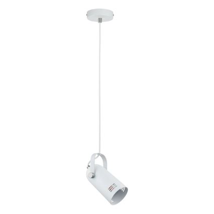Paulmann 79767 - LED RGBW 1xE27/15W LAVEA cable-suspended pendant lamp 230V white