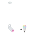 Paulmann 79767 - LED RGBW 1xE27/9W LAVEA cable-suspended pendant lamp 230V white