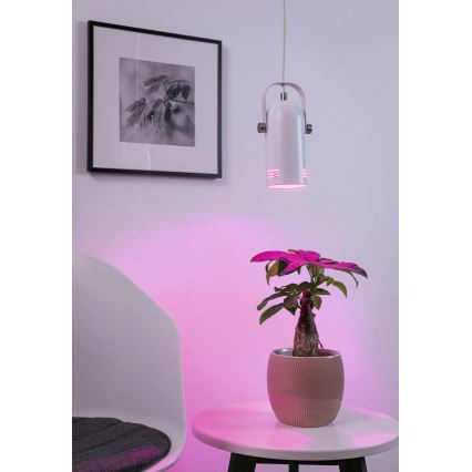 Paulmann 79767 - LED RGBW 1xE27/9W LAVEA cable-suspended pendant lamp 230V white