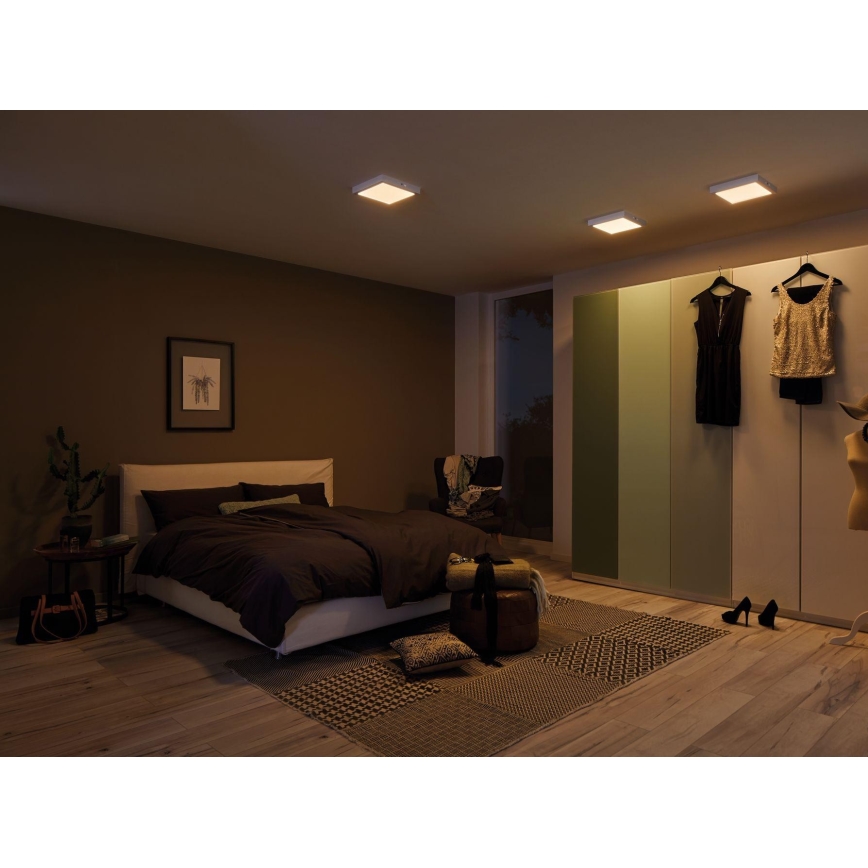 Paulmann 79791 - LED/10,2W Ceiling light CARPO 230V 2300-3000K