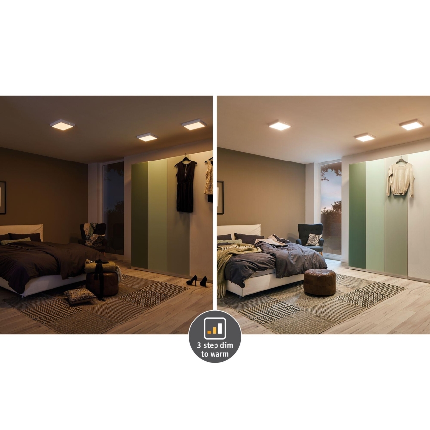 Paulmann 79791 - LED/10,2W Ceiling light CARPO 230V 2300-3000K