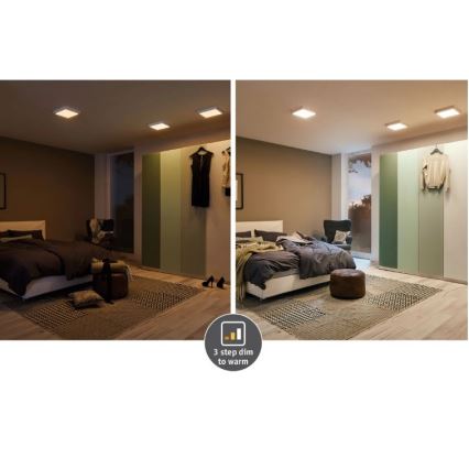 Paulmann 79795 - LED/13W Ceiling light CARPO 230V 2300/2500/3000K