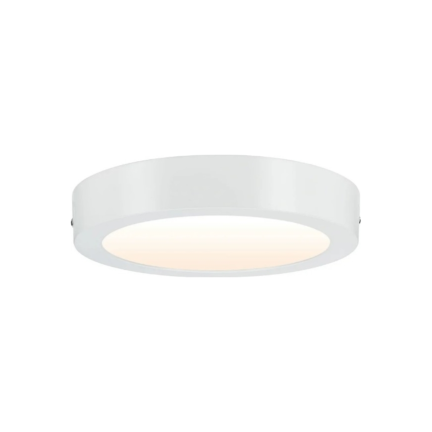Paulmann 79795 - LED/13W Ceiling light CARPO 230V 2300/2500/3000K