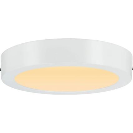 Paulmann 79795 - LED/13W Ceiling light CARPO 230V 2300/2500/3000K