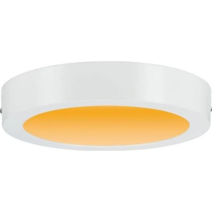 Paulmann 79795 - LED/13W Ceiling light CARPO 230V 2300/2500/3000K