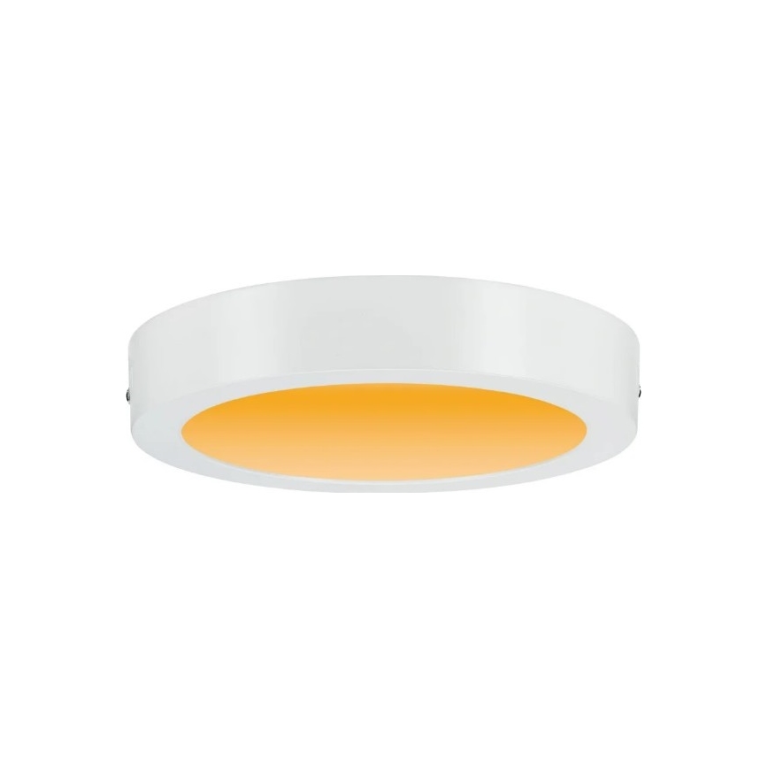Paulmann 79795 - LED/13W Ceiling light CARPO 230V 2300/2500/3000K