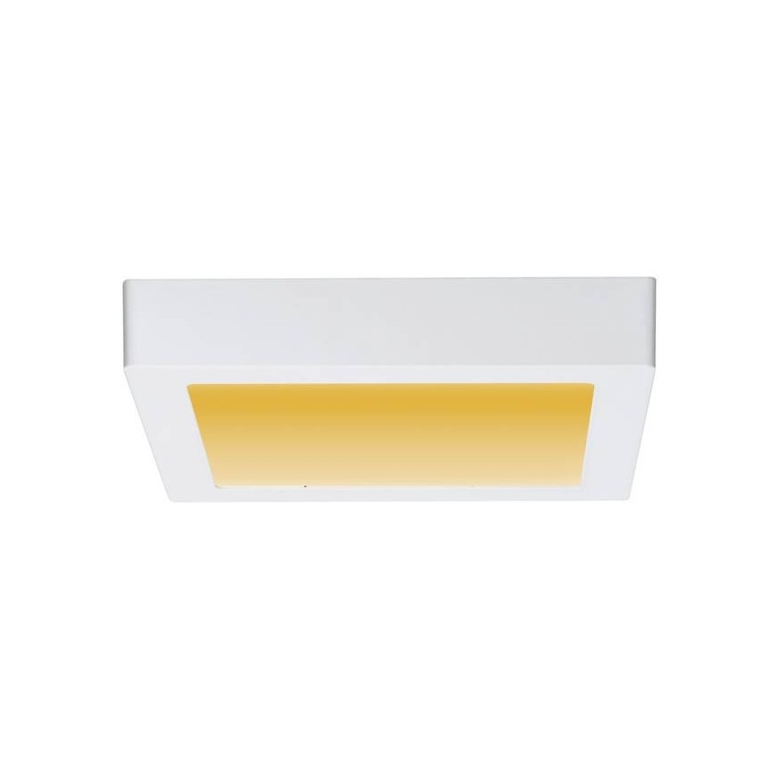 Paulmann 79796 - LED/13W Ceiling light CARPO 230V 2300-3000K