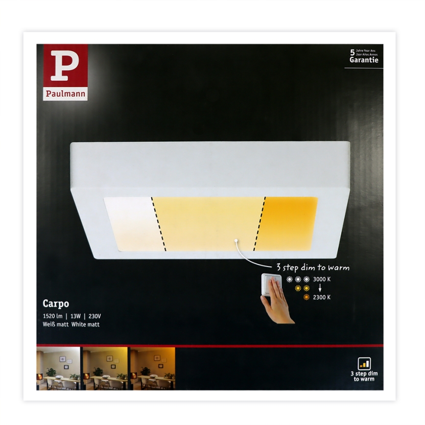 Paulmann 79796 - LED/13W Ceiling light CARPO 230V 2300-3000K