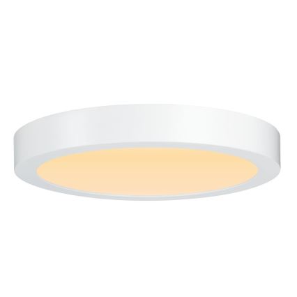 Paulmann 79799 - LED/19W Ceiling light CARPO 230V 2300/2500/3000K