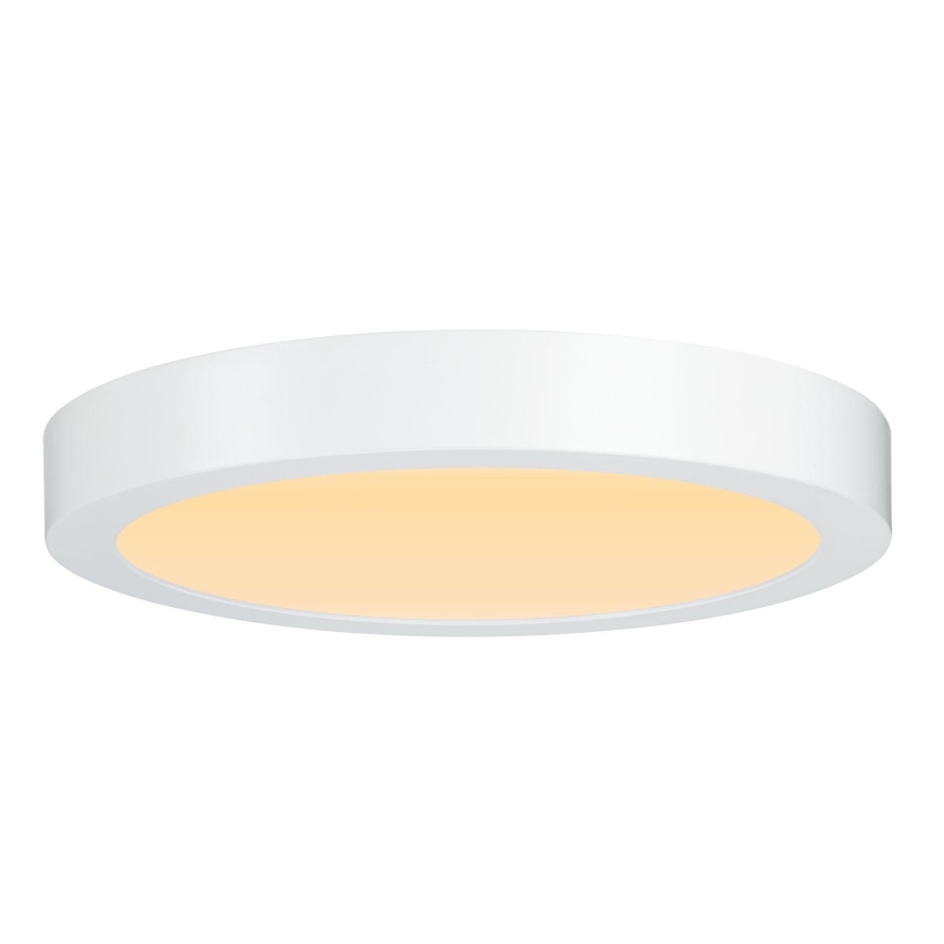 Paulmann 79799 - LED/19W Ceiling light CARPO 230V 2300/2500/3000K
