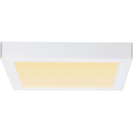 Paulmann 79801 - LED/13W Ceiling light CARPO 230V 2300/2500/3000K