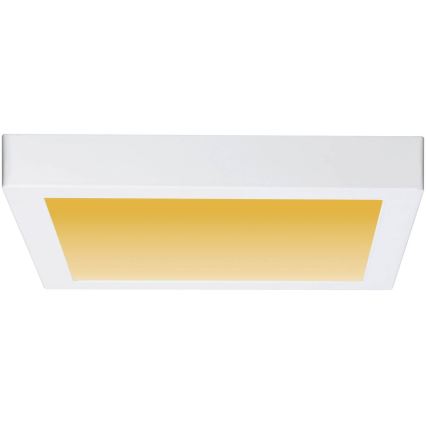 Paulmann 79801 - LED/13W Ceiling light CARPO 230V 2300/2500/3000K