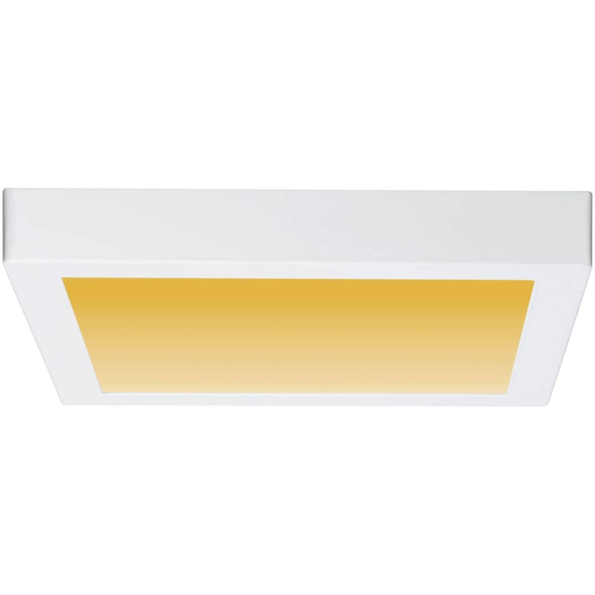 Paulmann 79801 - LED/13W Ceiling light CARPO 230V 2300/2500/3000K