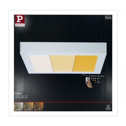 Paulmann 79801 - LED/13W Ceiling light CARPO 230V 2300/2500/3000K