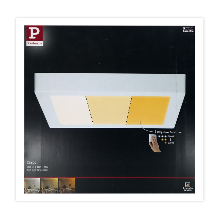 Paulmann 79801 - LED/13W Ceiling light CARPO 230V 2300/2500/3000K