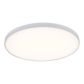 Paulmann 79891 - LED/19W Ceiling light VELORA 230V
