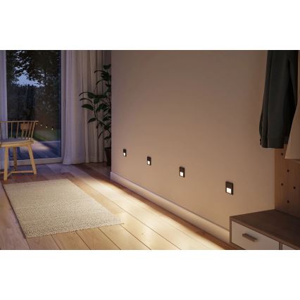 Paulmann 80001 - LED/1W Staircase light TSARO 230V Follow/black