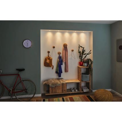 Paulmann 92970 - LED/4,2W IP23 Dimmable bathroom recessed light COIN 230V