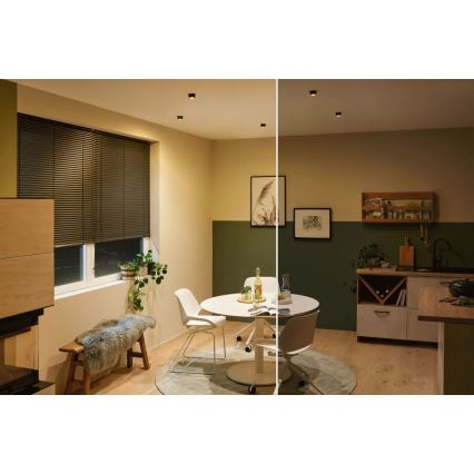 Paulmann 93379 - SET 3xLED/6W IP44 Dimmable bathroom recessed light GIL 230V