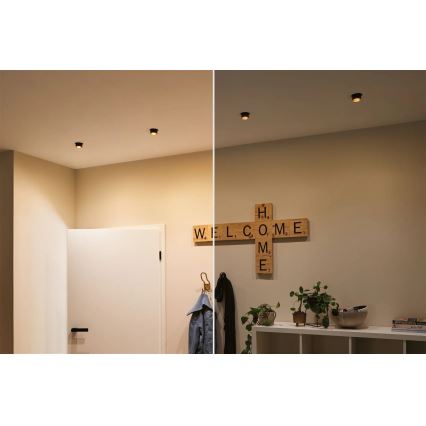 Paulmann 93379 - SET 3xLED/6W IP44 Dimmable bathroom recessed light GIL 230V
