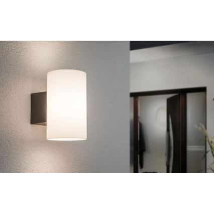 Paulmann 94186 - 1xE27/15W IP54 Outdoor wall light TUBE 230V