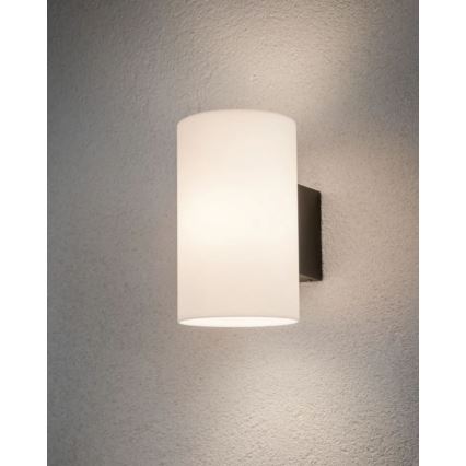 Paulmann 94186 - 1xE27/15W IP54 Outdoor wall light TUBE 230V