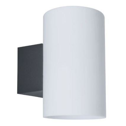 Paulmann 94186 - 1xE27/15W IP54 Outdoor wall light TUBE 230V