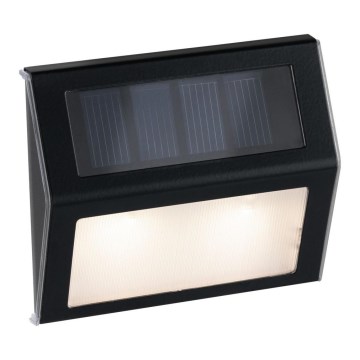 Paulmann 94234- LED/0,05W IP44 Outdoor solar light with sensor DAYTON 1,5V