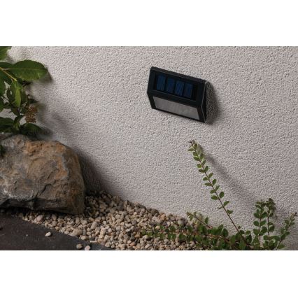 Paulmann 94234- LED/0,05W IP44 Outdoor solar light with sensor DAYTON 1,5V