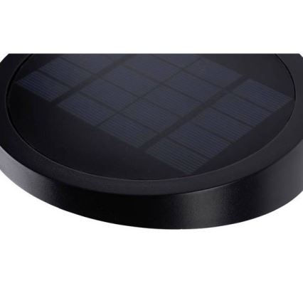 Paulmann 94246 - LED/1,2W IP44 Outdoor solar light with sensor RYSE 3,7V