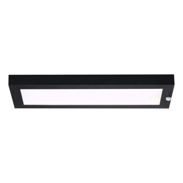 Paulmann 94256_1 - LED/10W IP44 Outdoor ceiling light with sensor 230V
