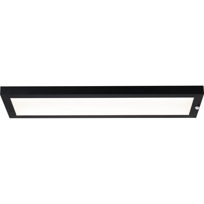 Paulmann 94257_1 - LED/19W IP44 Outdoor ceiling light with sensor 230V