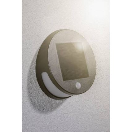Paulmann 94265 - LED/3W IP44 Outdoor solar light with sensor HELENA 3,7V 1800 mAh